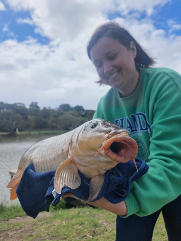 Redfin  Fishcare Victoria